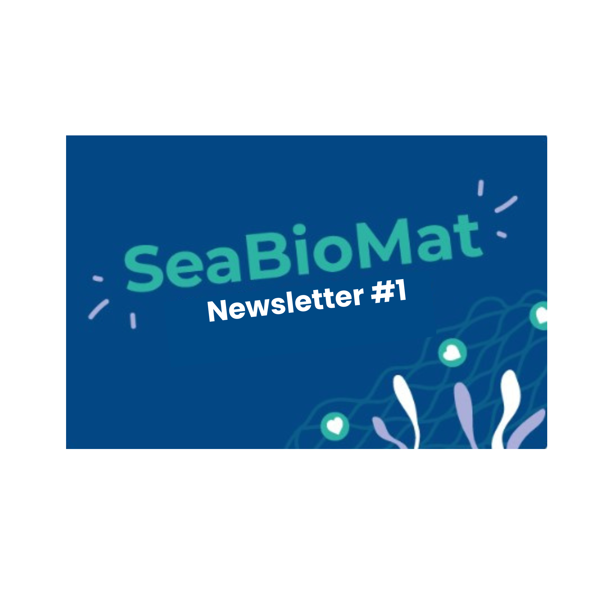 seabiomat2